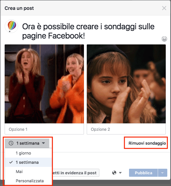 sondaggi-facebook-instagram-5